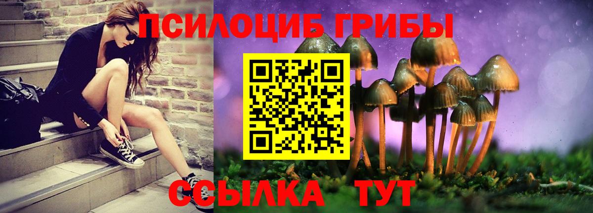 Новый Уренгой  где можно купить наркотик  Вход с VPN  Галлюциногенные грибы мухоморы 